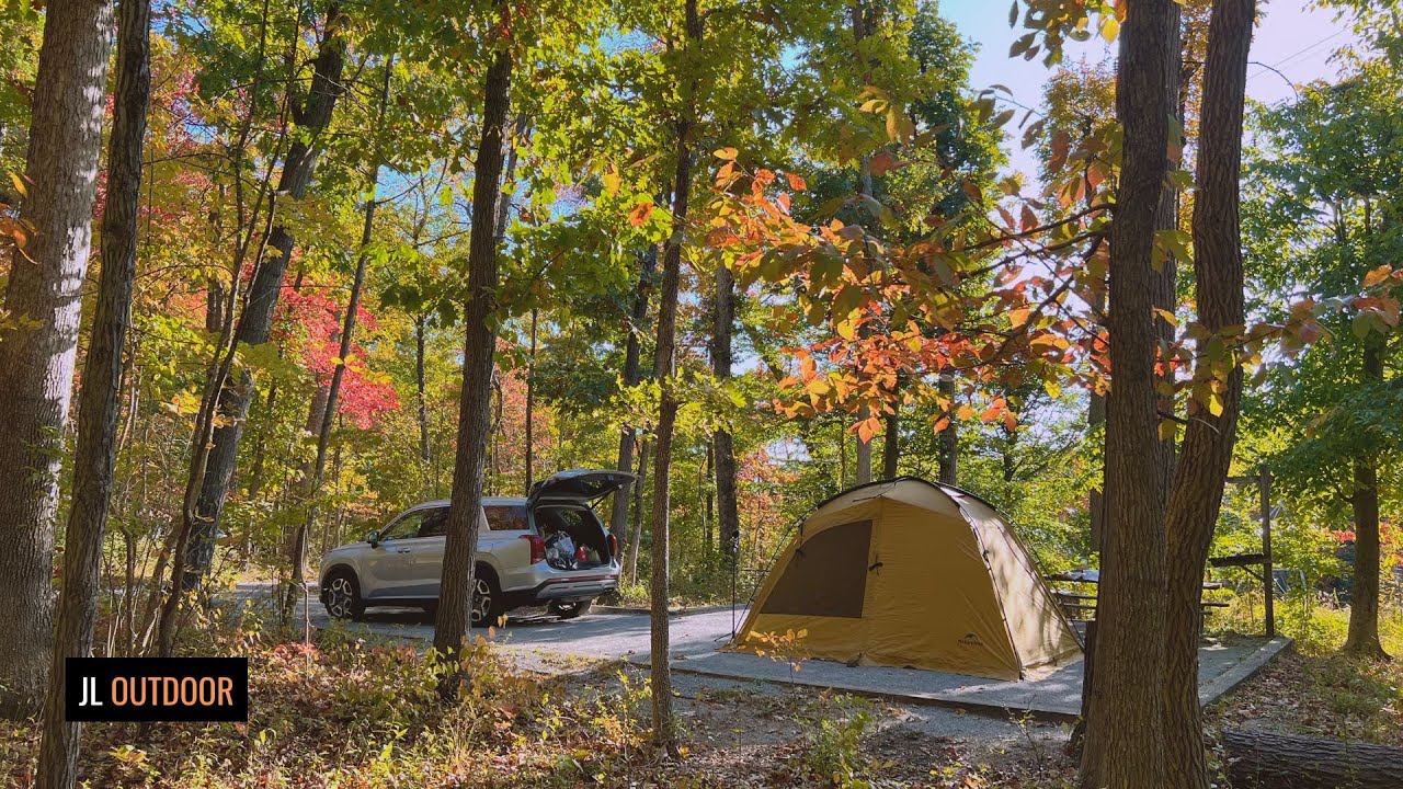 Осенний кемпинг с далматинцем | Naturehike Dune 7.6, китайская жарка, ASMR | Эп.1