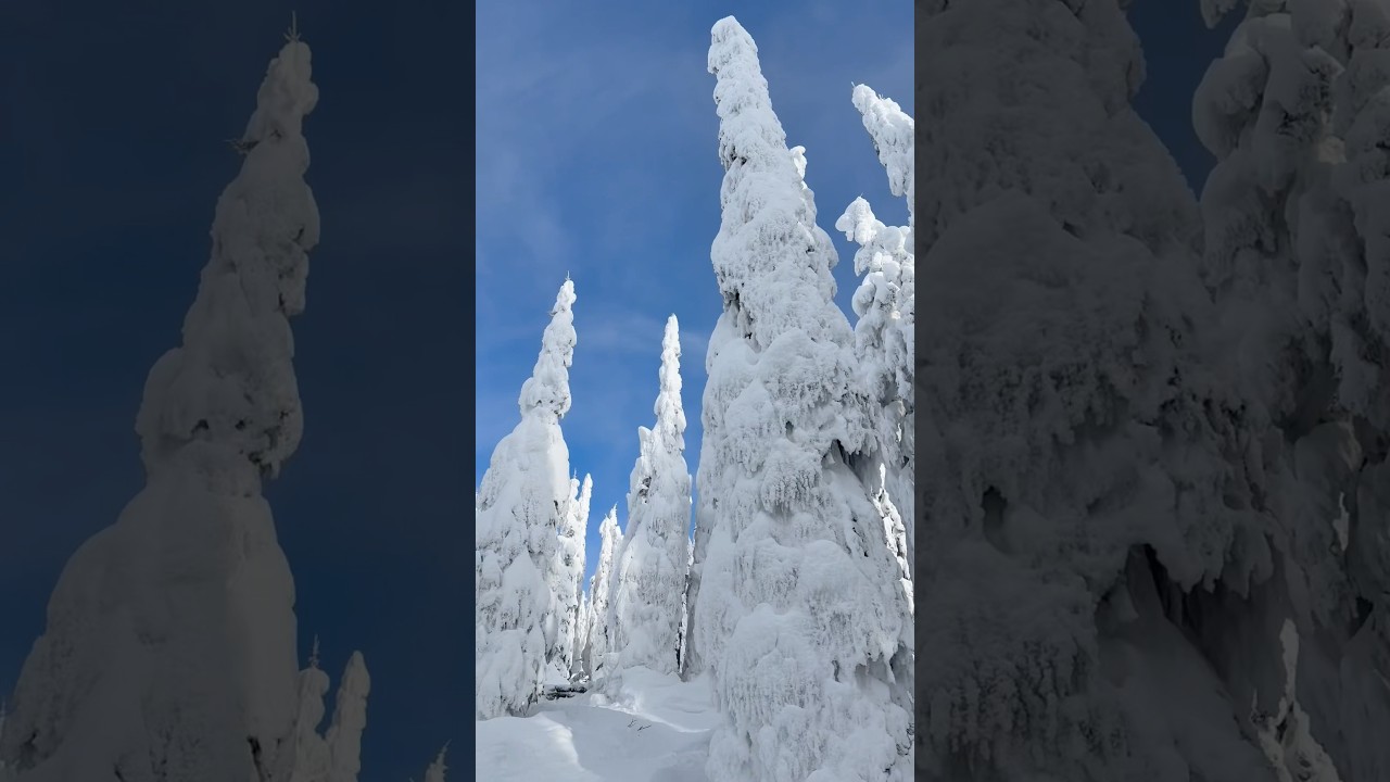 sun + snow = the BEST ski weather #skiing #skiday #skiseason  #skiweekend  #skilife #ski #skiresort