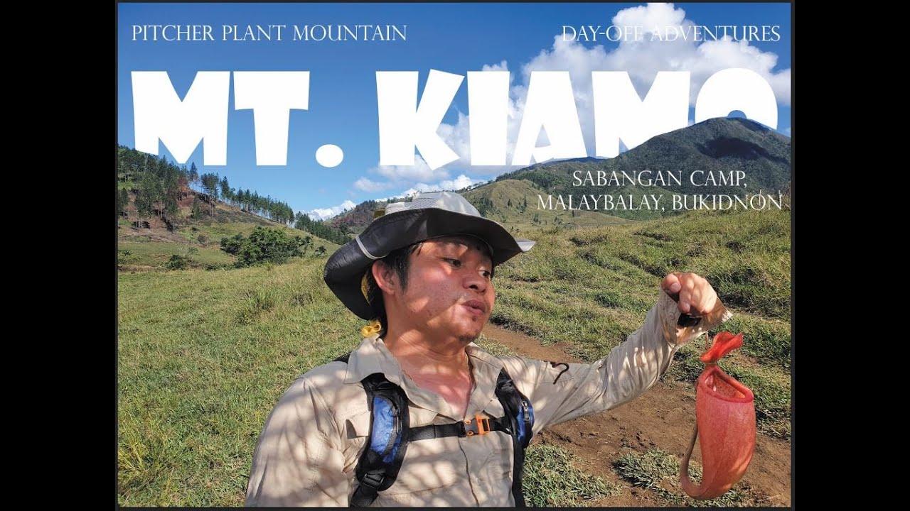 NEW ZEALAND of MINDANAO - MT KIAMO | Pitcher Plants | Pine Trees | River | Bukidnon | Sabangan Camp