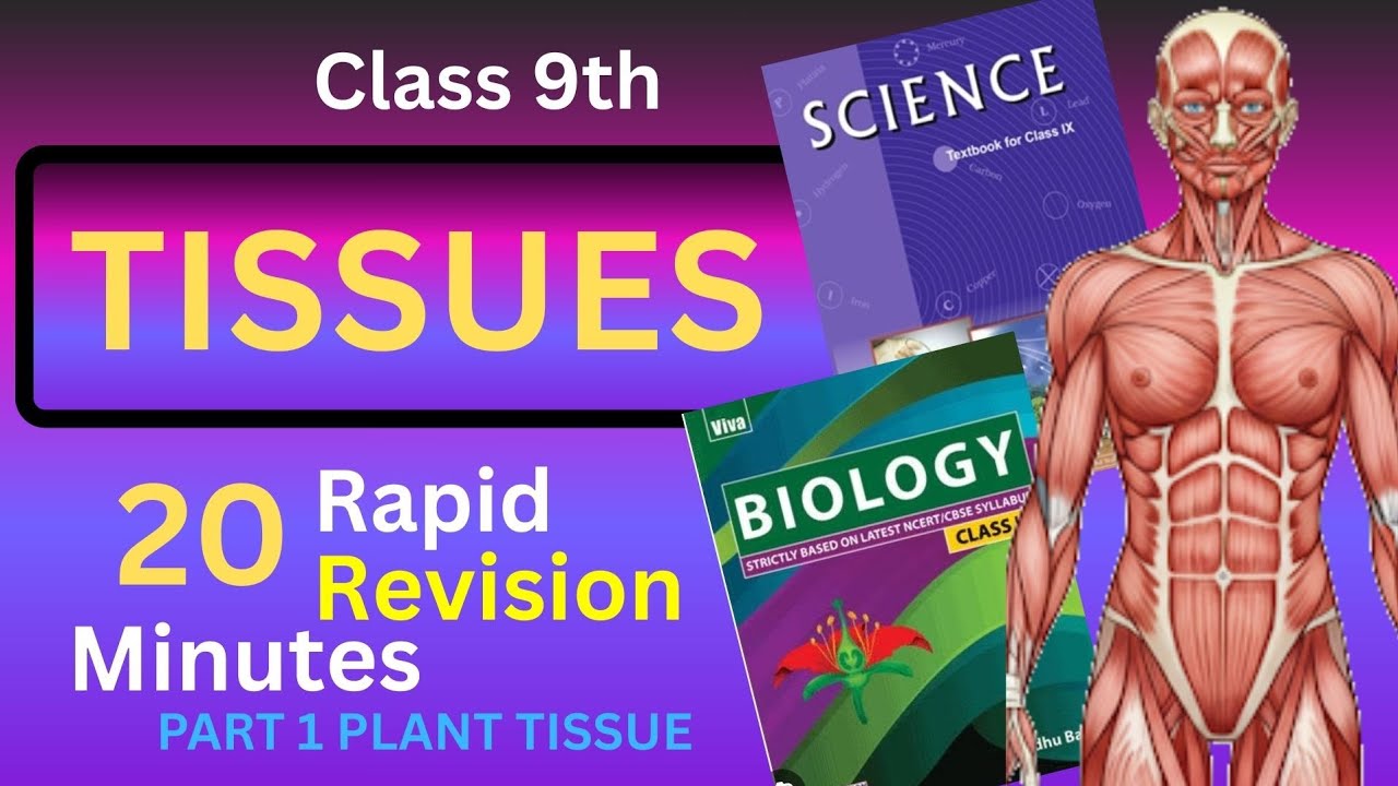 #science #tranding #trend class 9th tissue chapter #biology #viral #video plant tissue 