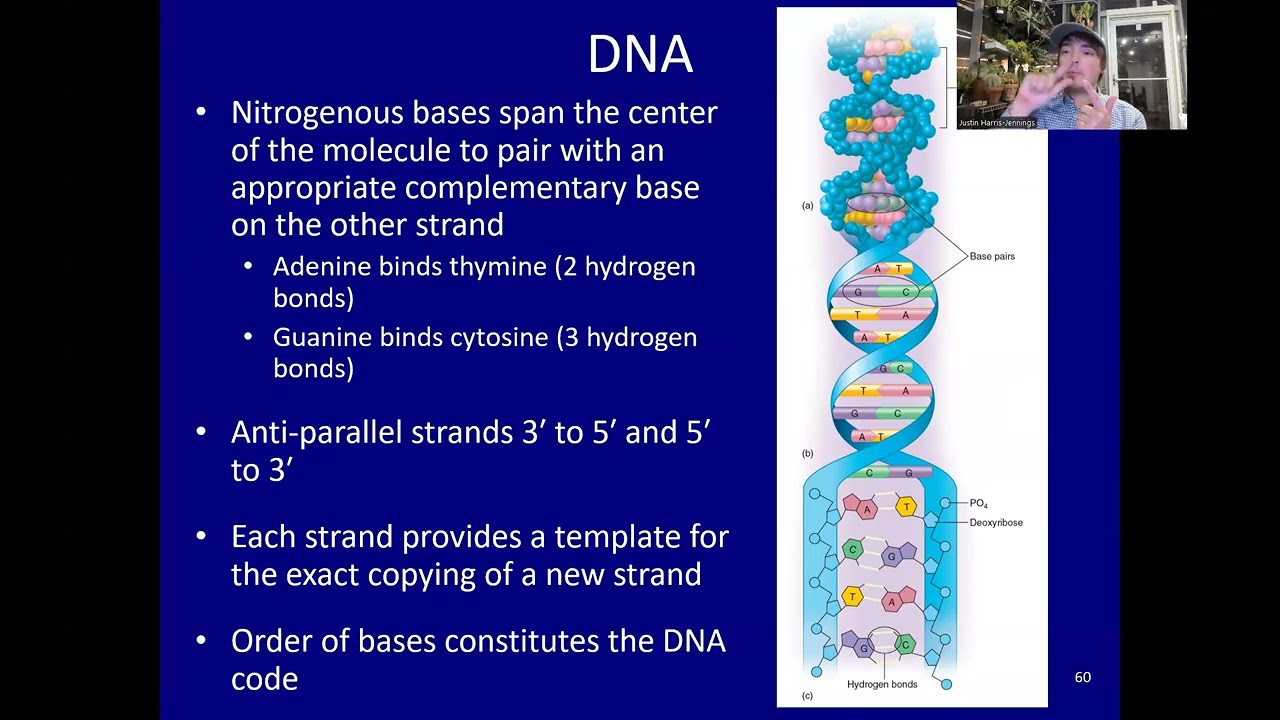 Bacterial Genetrics Microbiology Lecture 4 SP2026