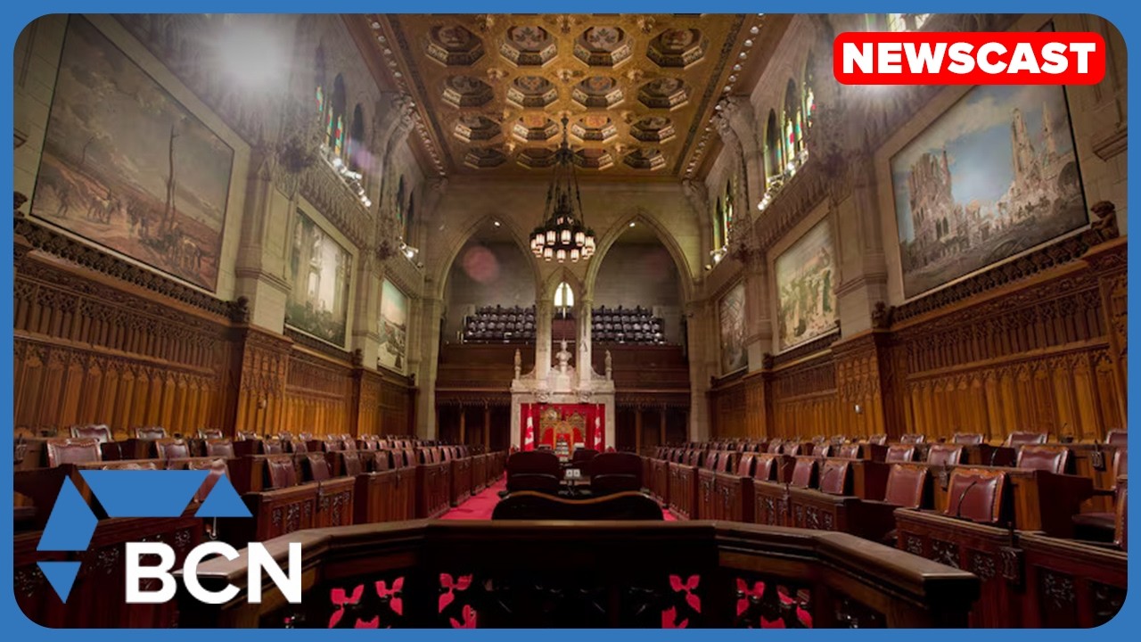 Bill C-9 amendment becoming law | Federal A.I. Strategy unveiled | K9 units train in Lethbridge| BCN