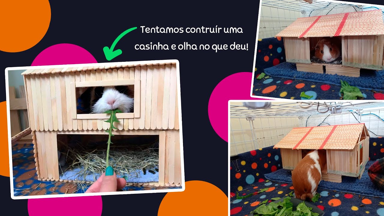 VLOG DIY - Construindo uma casinha para porquinho da índia com palitos