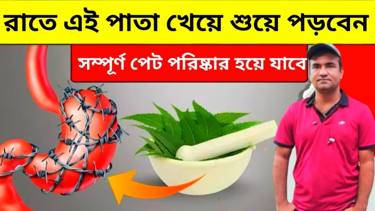 রাত্রে যে ৪ পাতা ঘুমানোর আগে খেয়ে নিন, আপনার পেট সম্পূর্ণ পরিষ্কার হয়ে যাবে। Complete Gut Detox 