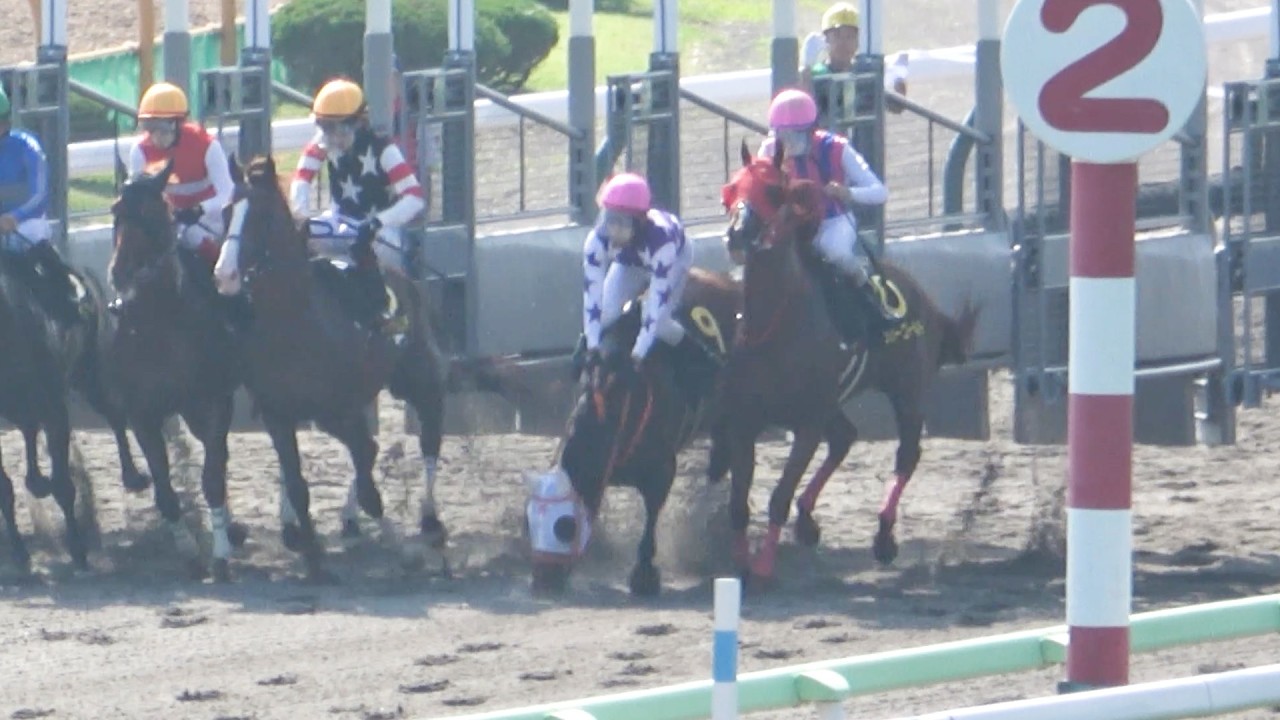 【大沼ステークス2025】4番人気の⑨サンライズアリオンがスタート直後に躓く‼ 勝ったのは2年ぶりの勝利となった⑥ペリエール 現地映像