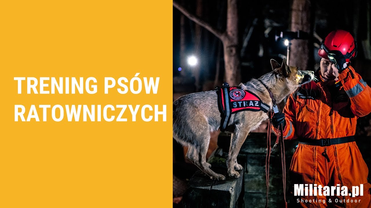 Grupa Poszukiwawczo Ratownicza OSP Orzech | Sklep Militaria.pl