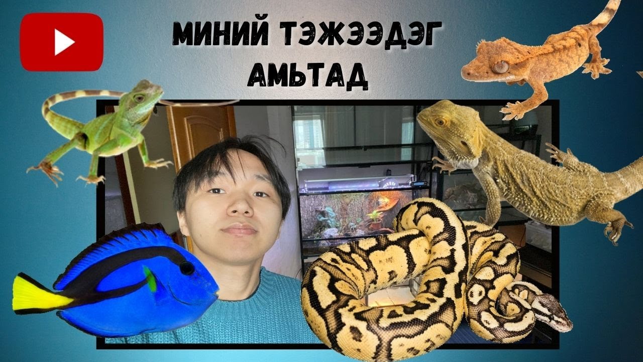 Өөрийнхөө тэжээдэг сонин хачин амьтадаа танилцуулъя