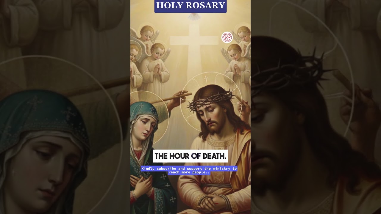 Pray the Daily Rosary with Mama Mary ❤️ January 30, 2026