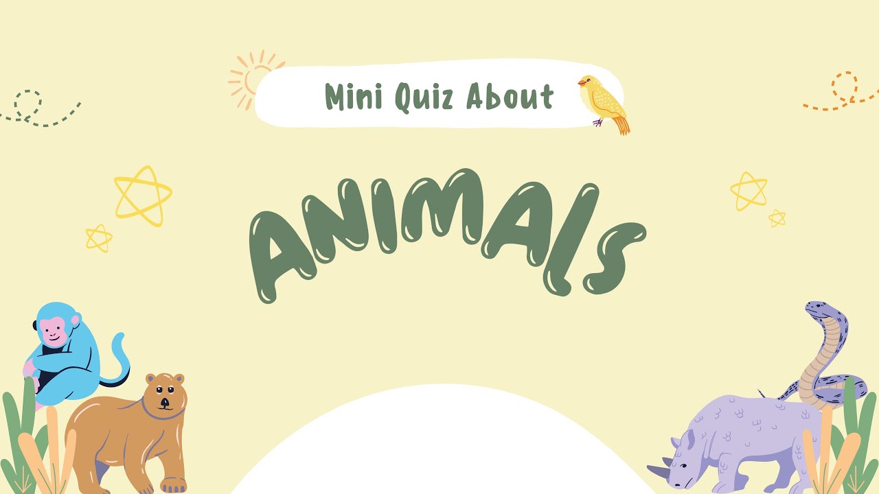 Mini Quiz About Animals | Kids Learning |  Nursery Rhymes for Kids | Little Pineapple Bun