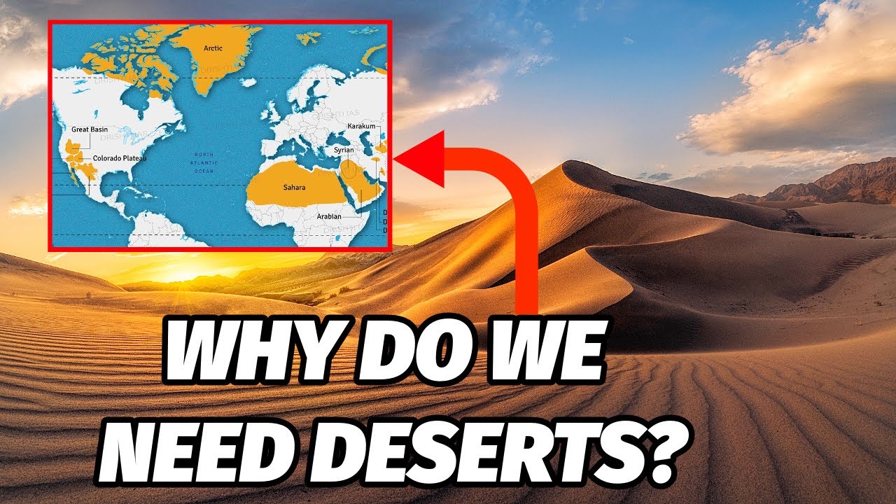 Do We Need Deserts On The Planet? I Why Deserts Are Important?