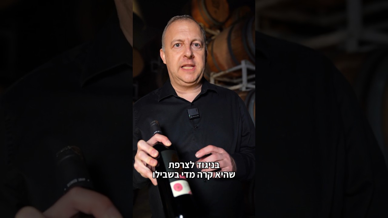 הסיפור מאחורי היין בראשית פטי ורדו🍷✨#יקב_היוצר #לחיי_היצירה #יקב