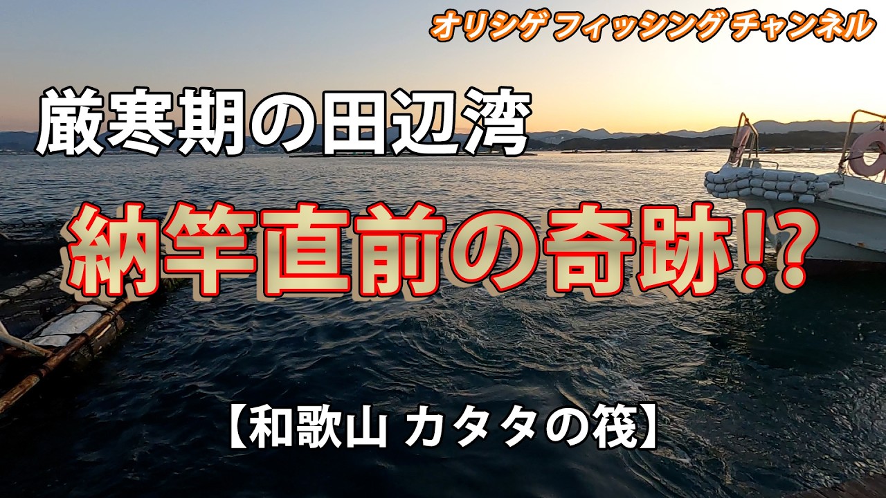 【チヌかかり釣り】2026.2.18 カタタの筏　厳寒期の和歌山田辺湾で乗っ込みチヌを狙います。真鯛の活性が高い中で悪戦苦闘。強風とも戦いながらの我慢の釣りの中、納竿直前にドラマは待っていた⁉
