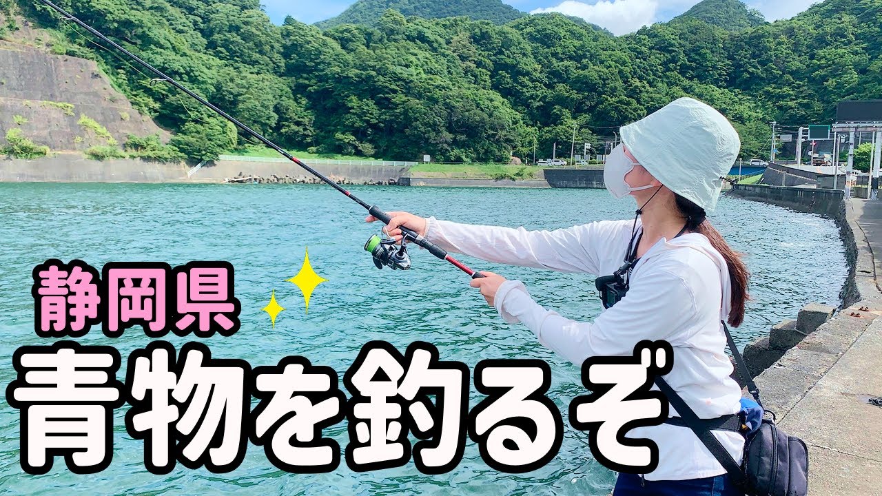 青物が釣れてると噂の静岡へ釣りにいく！ルアーで青物が釣れるまで諦めない！初夏の旬の魚も釣り上げる！【2025.7】