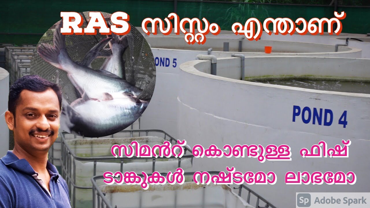 ras fish farming #cement fish tank malayalam #fish farm Kothamangalam #RAS system in Fish farming