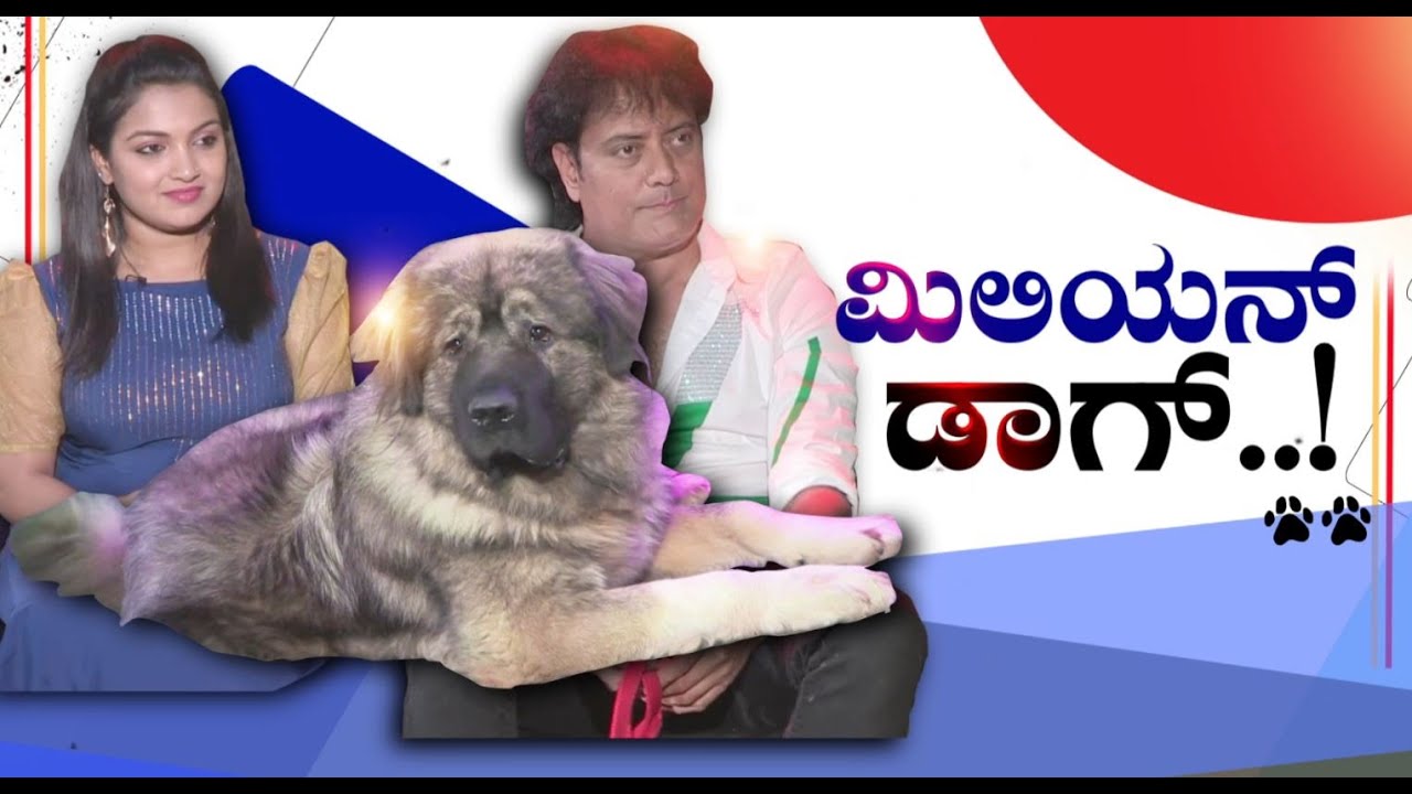 Costliest Dog : ಅಬ್ಬಬ್ಬಬ್ಬಬ್ಬಾ, ಈ ನಾಯಿ ಬೆಲೆನೇ 20 ಕೋಟಿಯಂತೆ..! | Sathish Interview | Power TV News