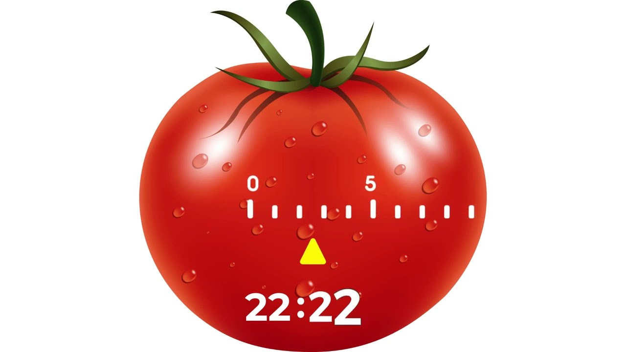 Focus Pomodoro Timer Online Video 30 Minutes