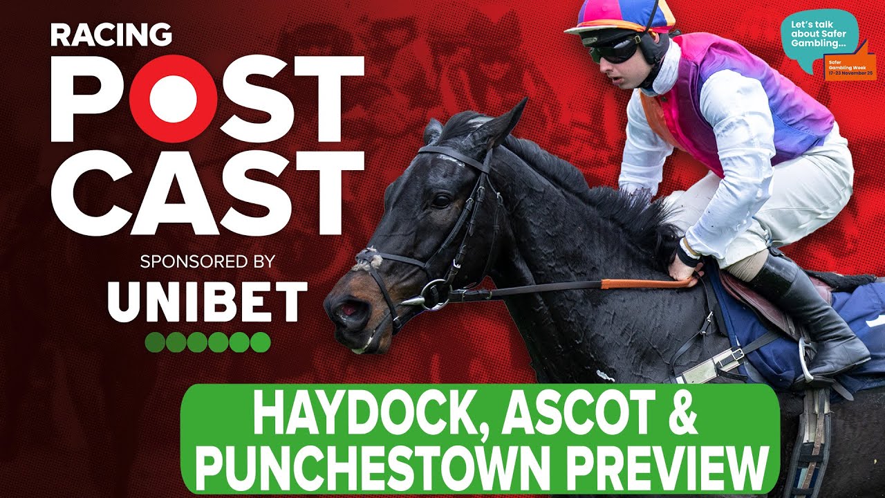 Предварительный обзор скачек Haydock, Ascot и Punchestown | Советы по скачкам | Скачки в прямом э...