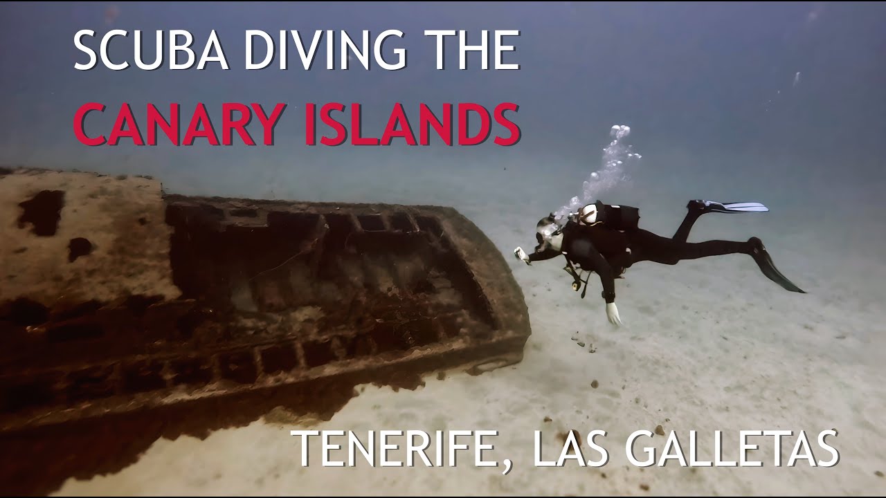 Underwater Adventure in Tenerife – Diving the Canary Islands