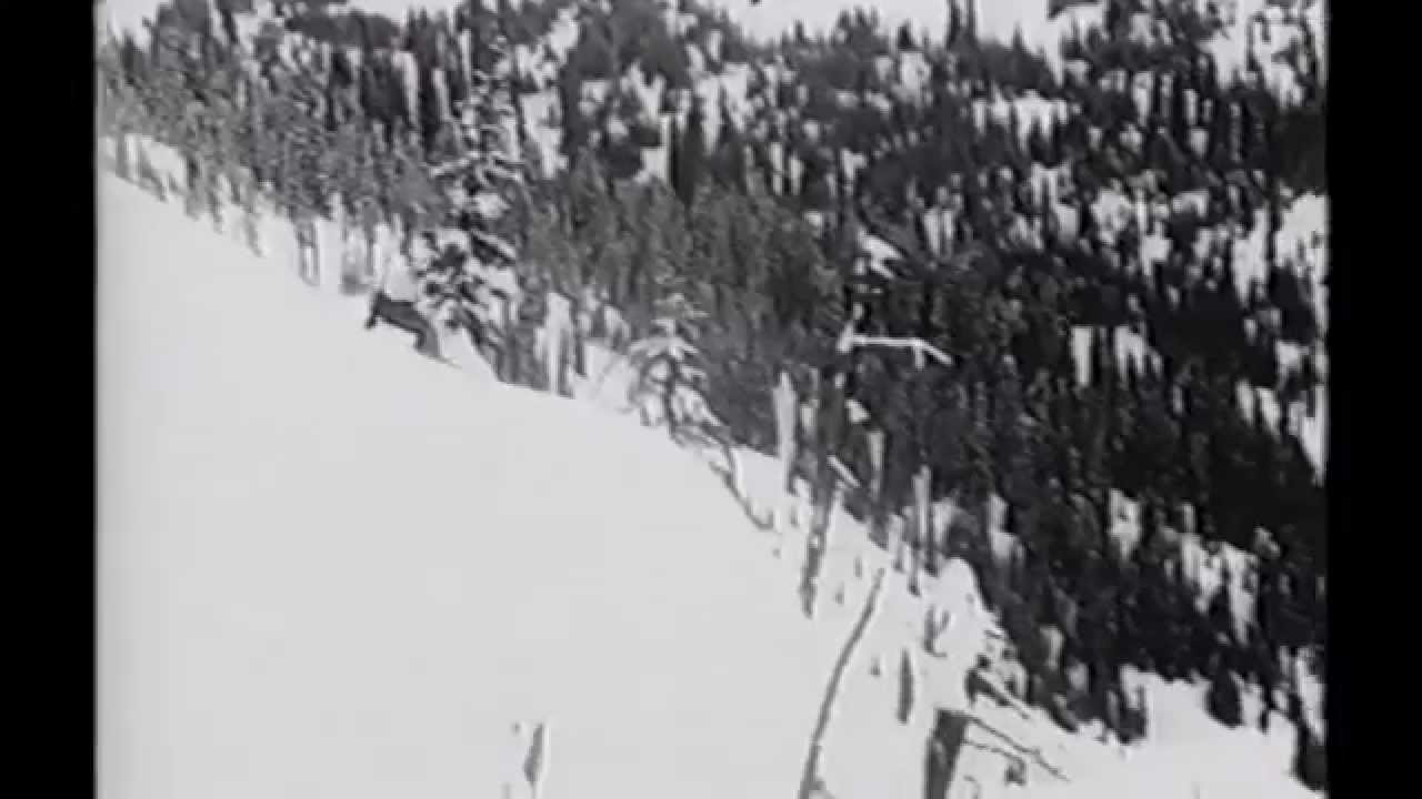 Axel Pauporté snowboard section (1997) - Day Tripper 2: Still Trippin' Video