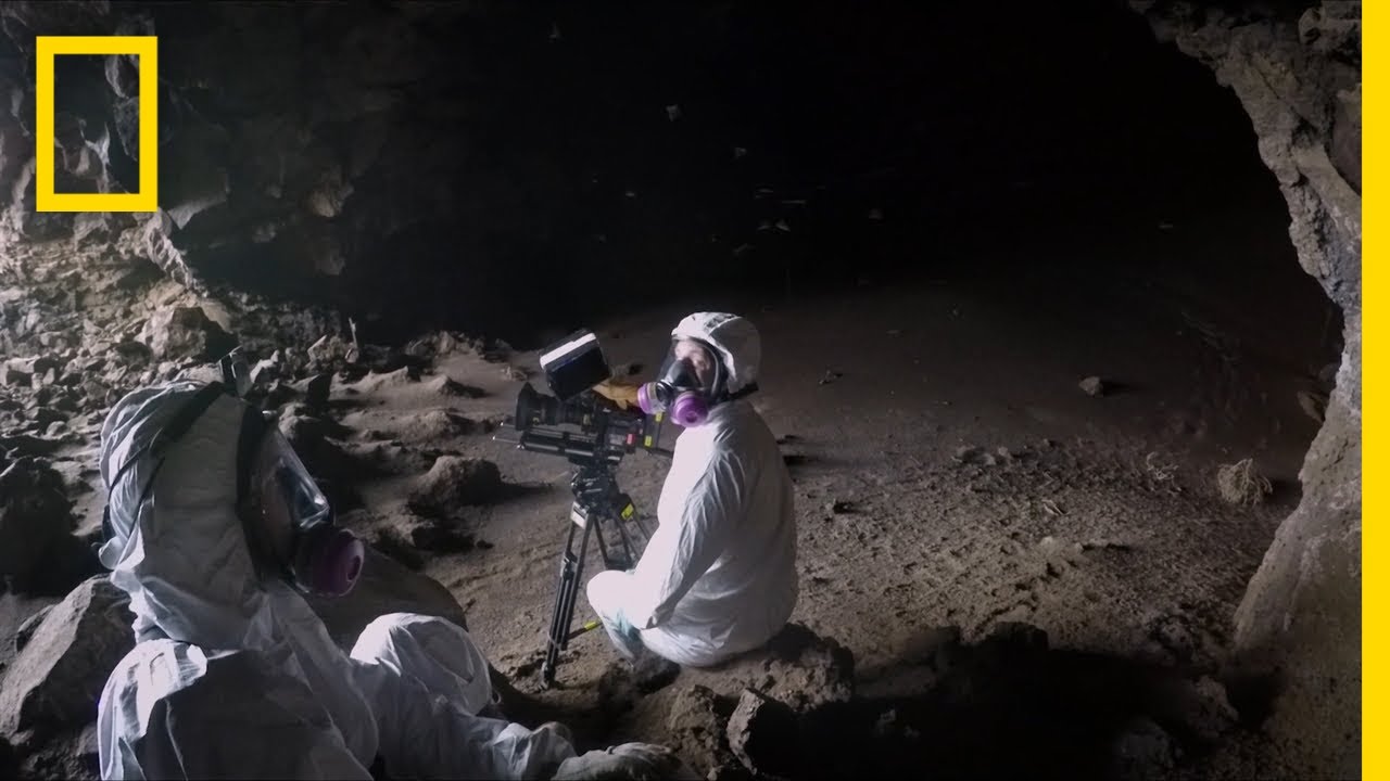 Free-Tailed Bats: On Location | Hostile Planet