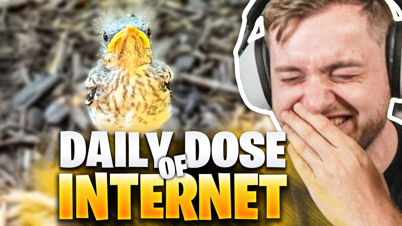 😂😳Das H&Auml;SSLICHSTE TIER des JAHRES - Daily DOSE of INTERNET REAKTION | Trymacs Stream Highlights