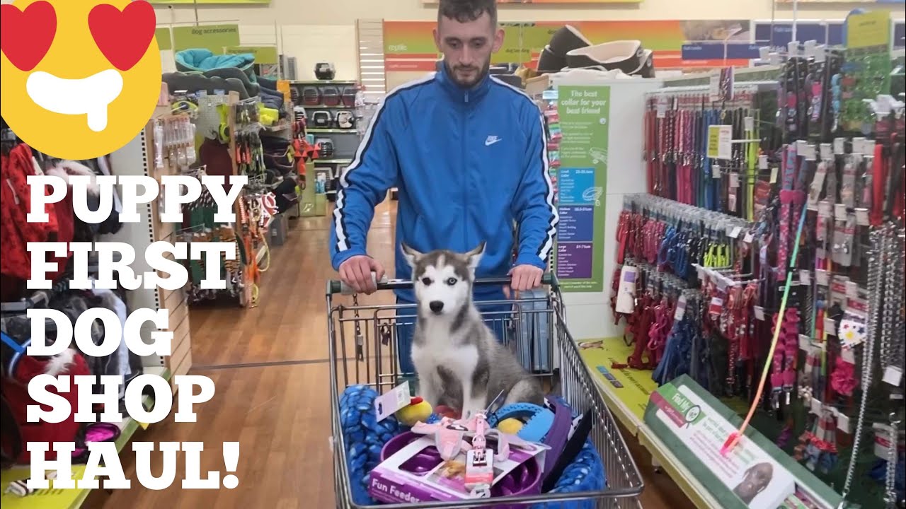 Taking My Puppy Shopping For The First Time Ever!! [SHE WAS SO HAPPY!!]