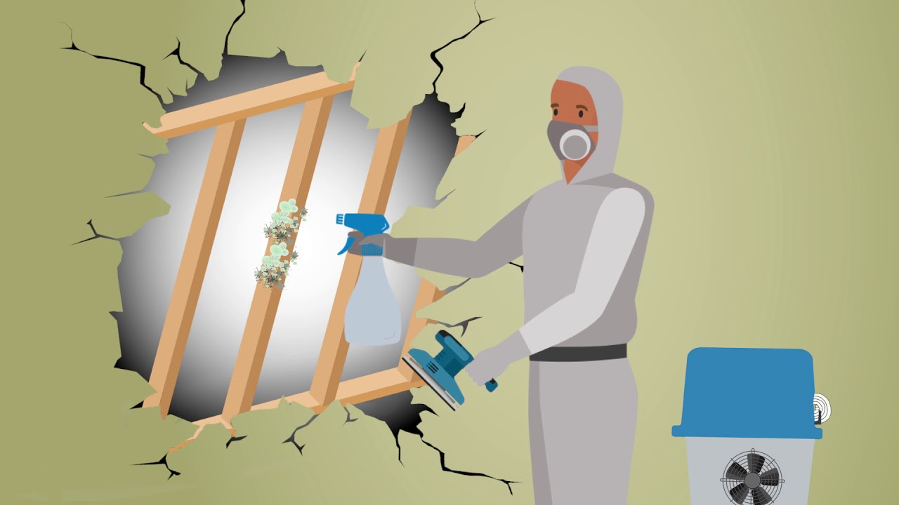 Arc   Mold damage Youtube format