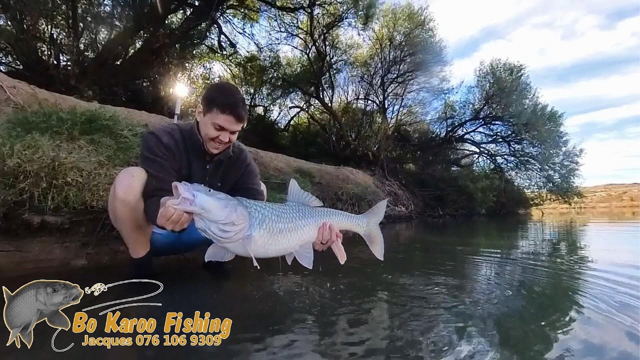 Fishing the Orange River, Largemouth Yellowfish.