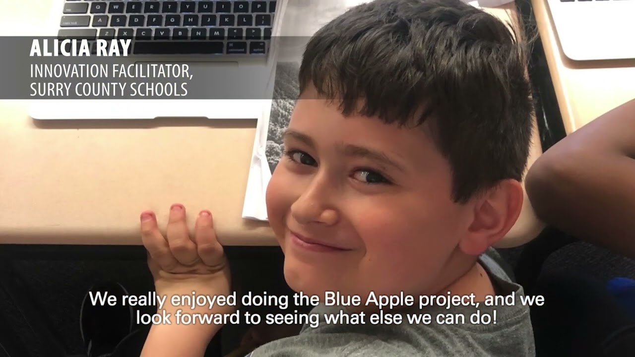 VAI Education's Blue Apple Projects
