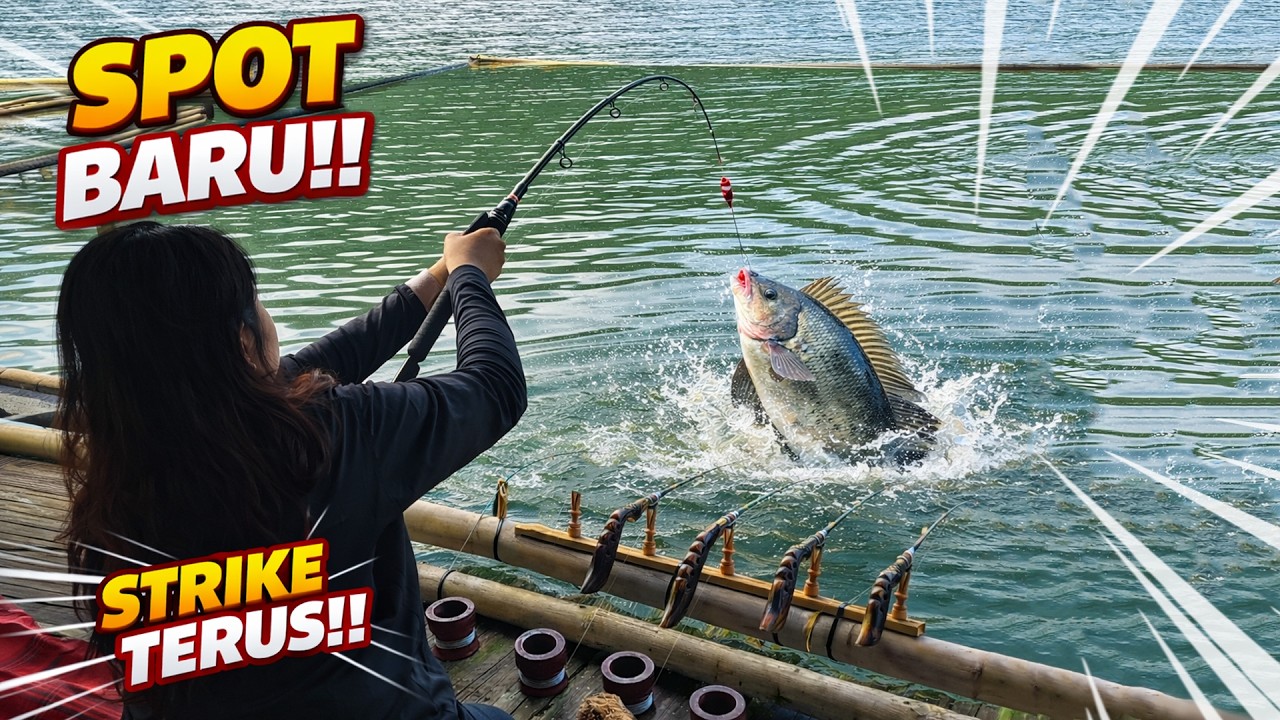 Hasilnya GOKIL‼️Spot Terbaru Mancing di Jatiluhur Strike Bertubi-tubi #mancing #mancingliar #fishing