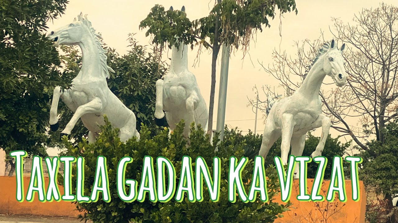 Taxila gadan ka vizat#viral #trending #viralvideo 