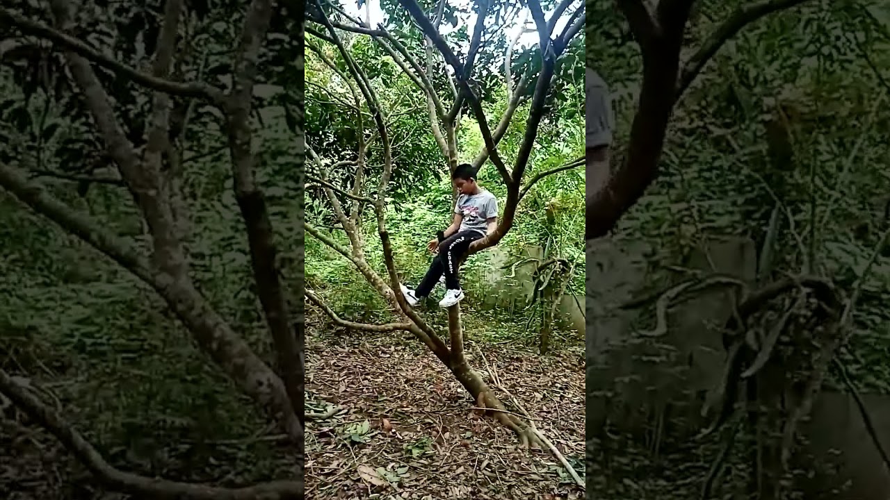 Firstime umakyat sa puno.