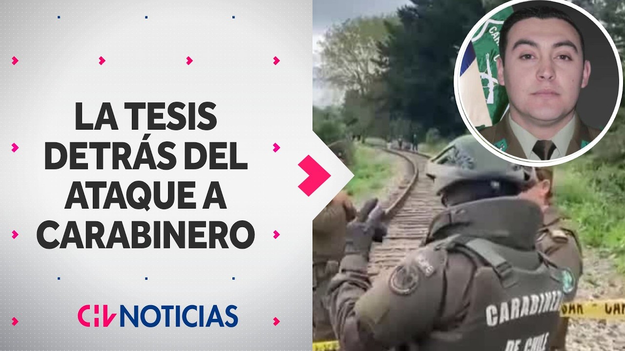 Revelan tesis detrás del ataque a carabinero que quedó con muerte cerebral en Puerto Varas