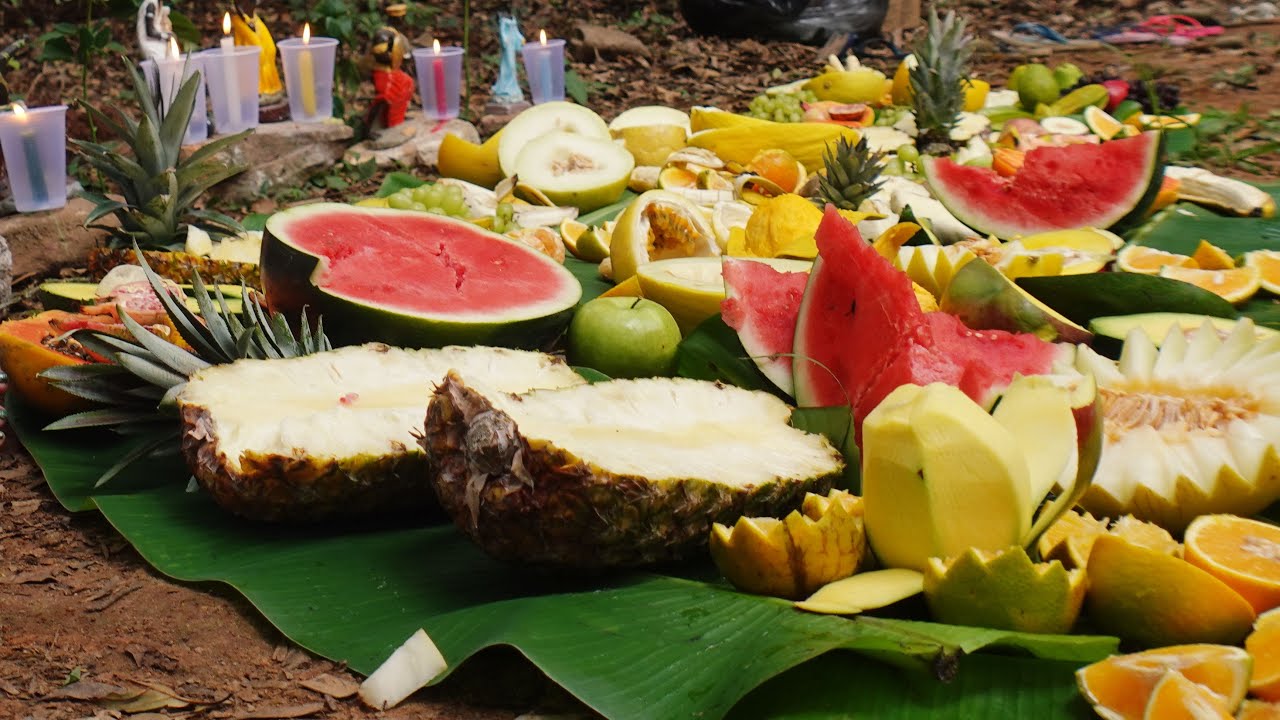 registro do dia em que fui numa gira de umbanda na mata
