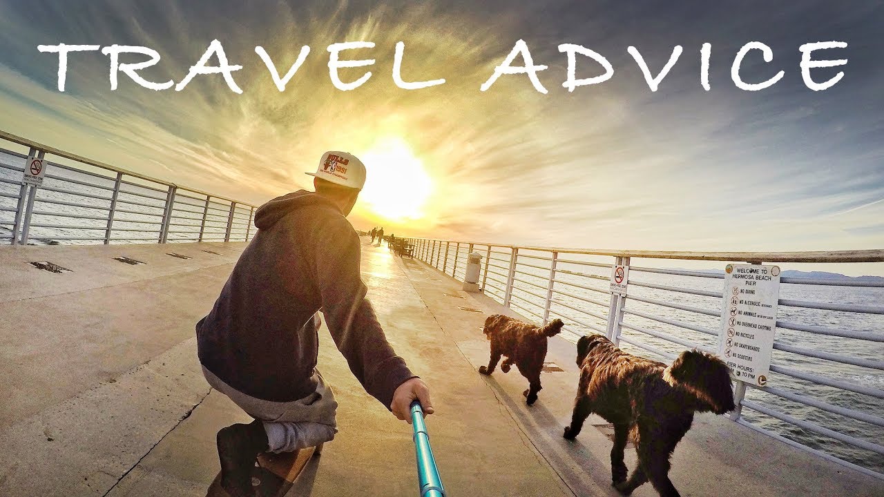 TIPS for TRAVELING with DOGS