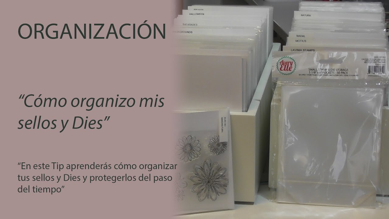 Organización | Mira cómo organizo mis Sellos y Dies