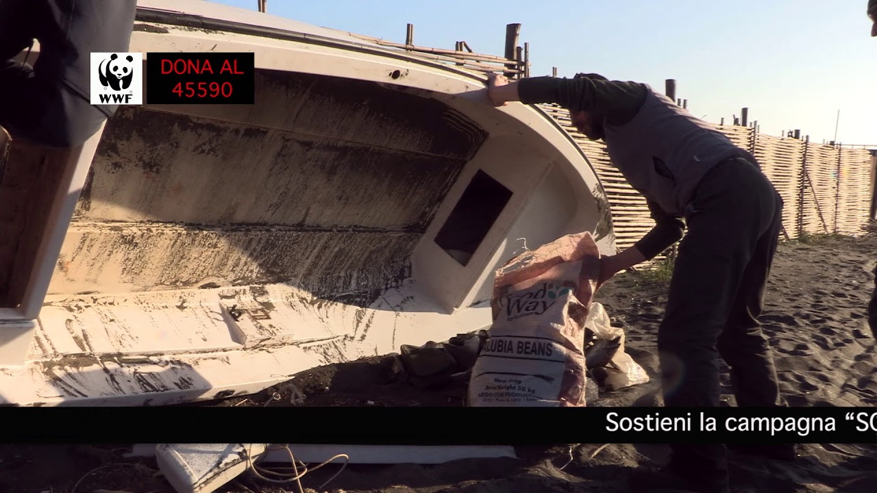 SOS Delta del Po - Dona ora al 45590
