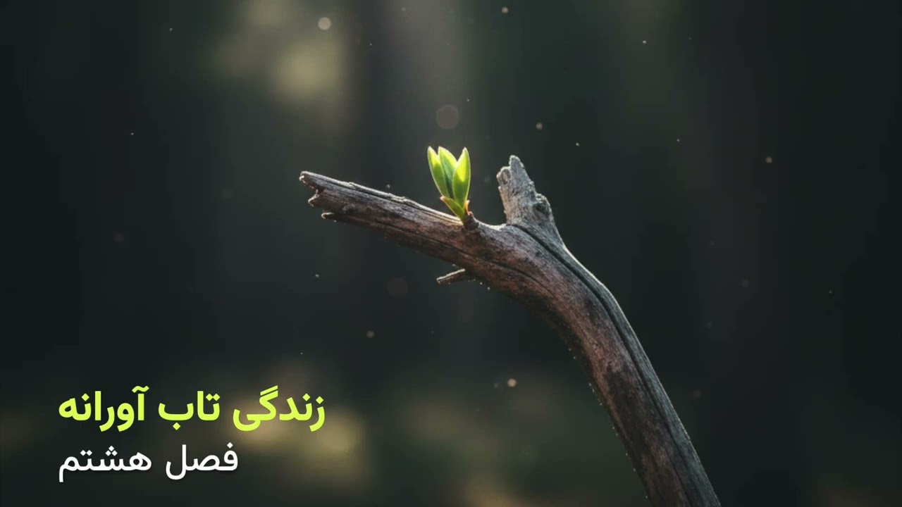 کتاب زندگی تاب آورانه - فصل هشتم: همدردی ورزی در فرهنگ ترس