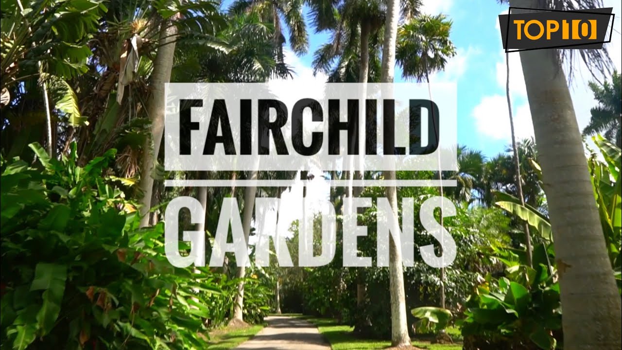 FAIRCHILD BOTANICAL GARDENS, MIAMI -