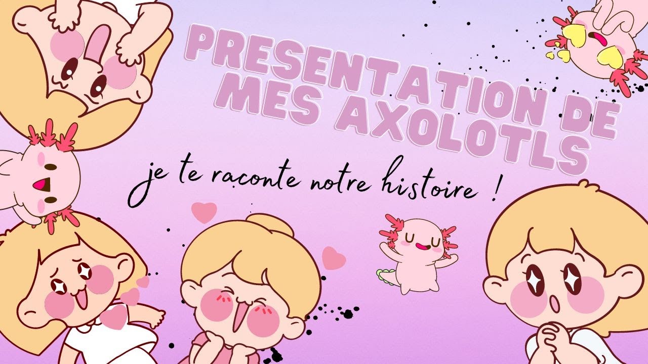 PRESENTATION DE MES AXOLOTLS !!! Mes débuts dans cette folle aventure de propriétaire d'axos !!!