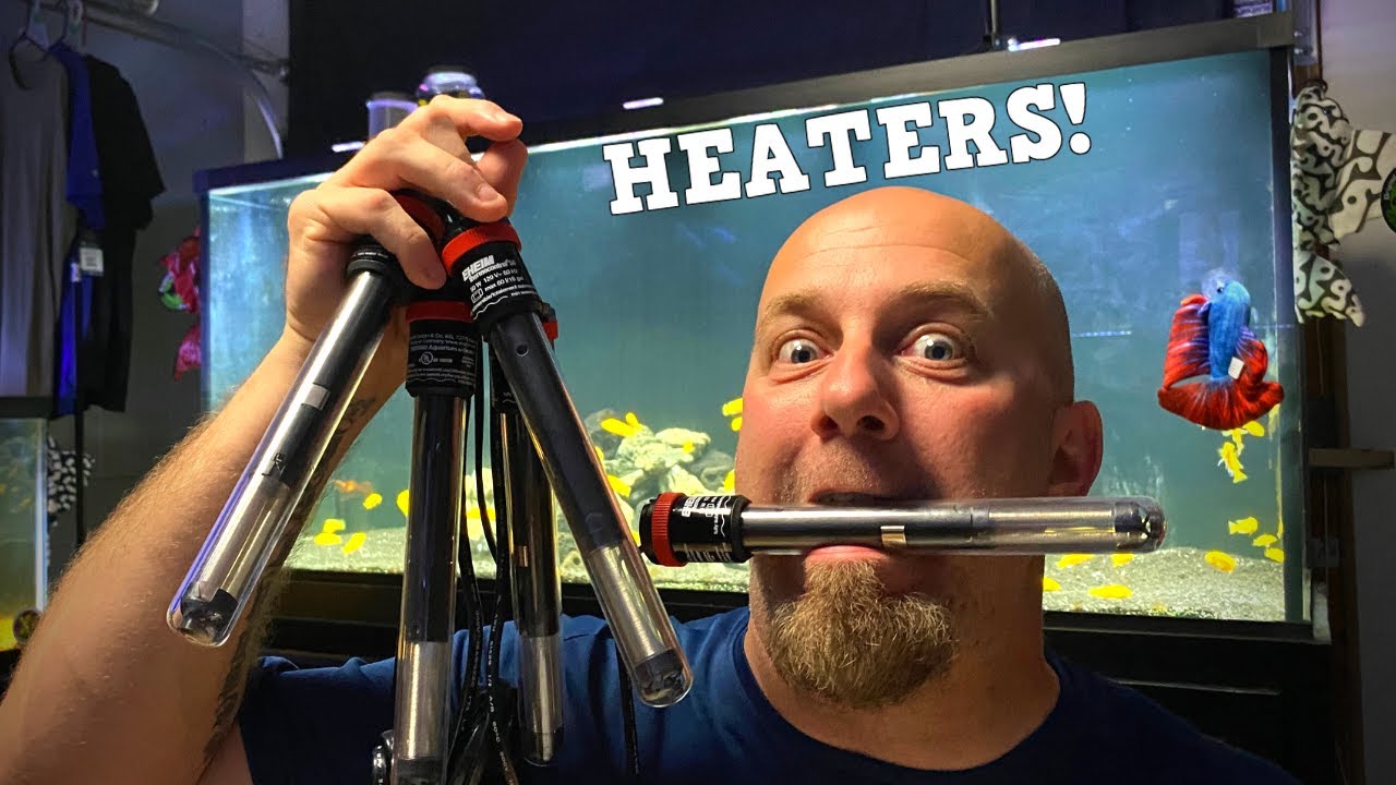 Don't Believe The Lies About Aquarium Heaters?