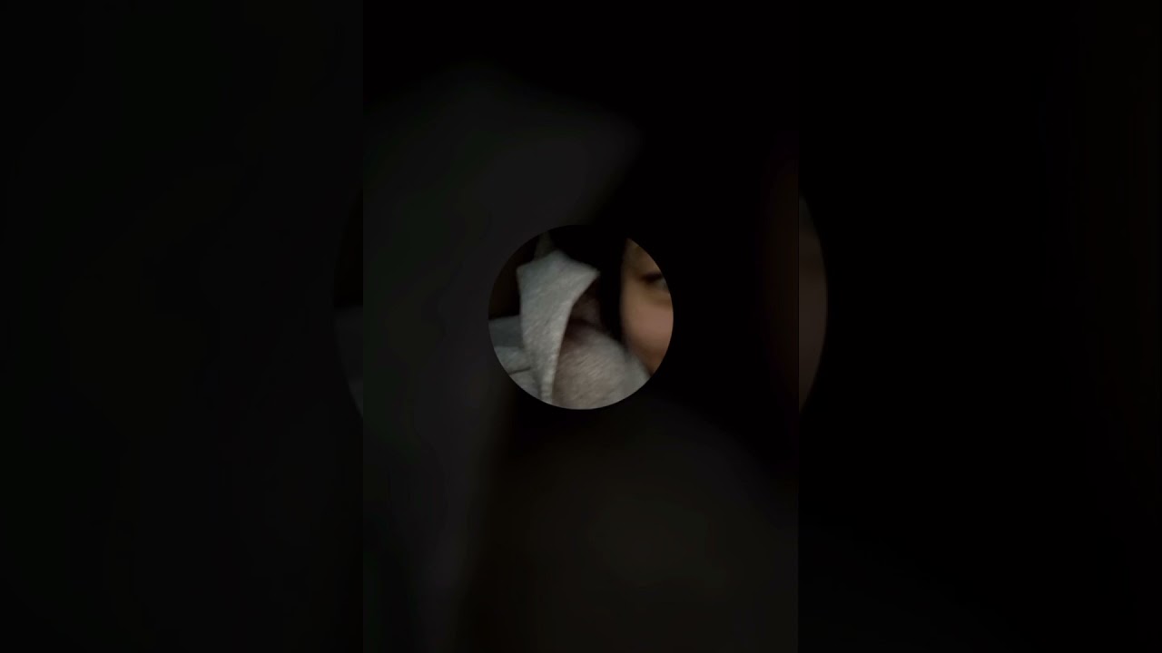 241110 쥴리 버블라이브