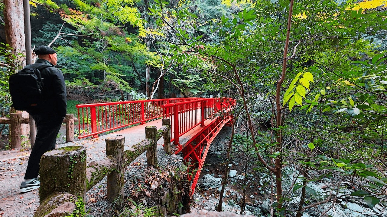 Minoh, Japan 🍁 A Quiet Autumn Walk to the Waterfall