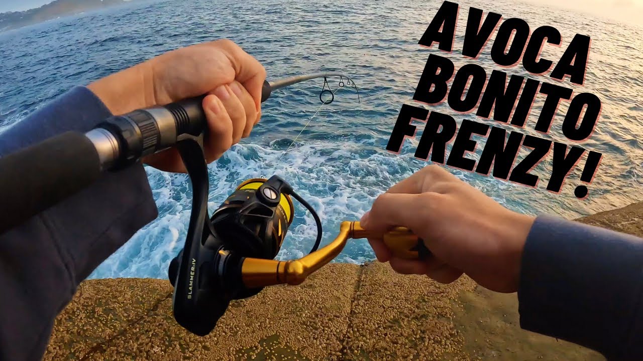 Rock Fishing Avoca - Spinning metal lures for FIRED up BONITO