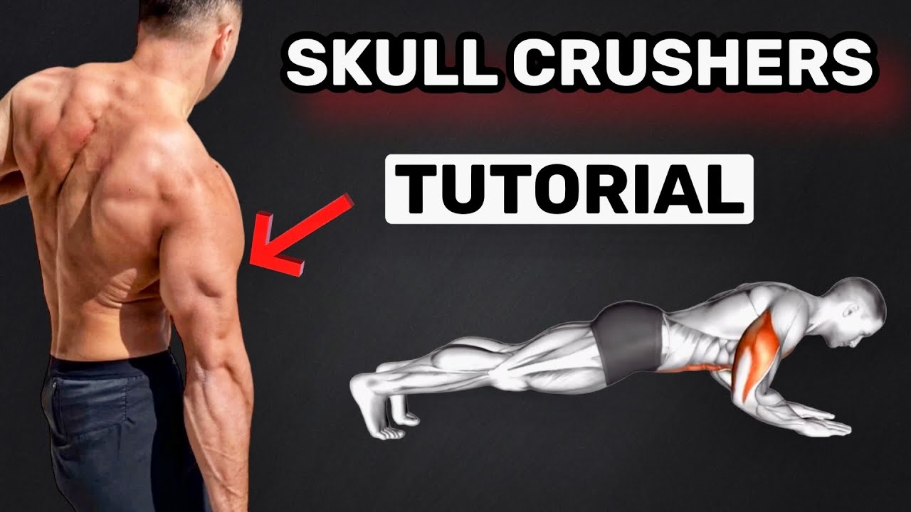 Bodyweight Skull Crushers Perfect Form ✔️
