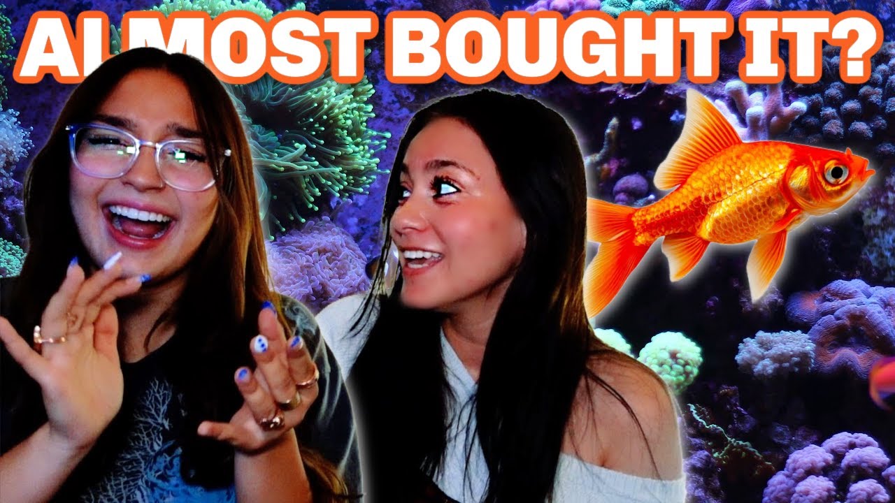 We Almost Bought Something... Should We?