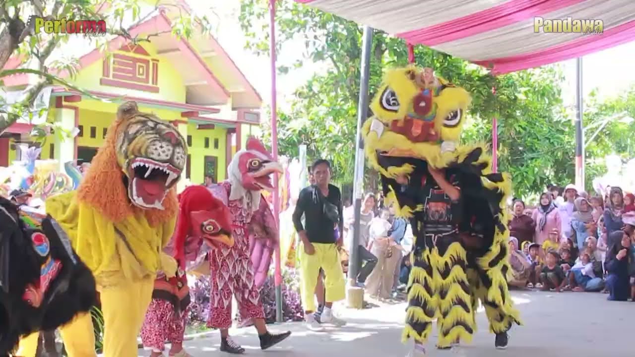 BERONDONG ATRAKSI BARONGSAY ANGGA CS _BUROK PANDAWA NADA _LIVE ASEM DOYONG PEMALANG 28 NOVEMBER 2025