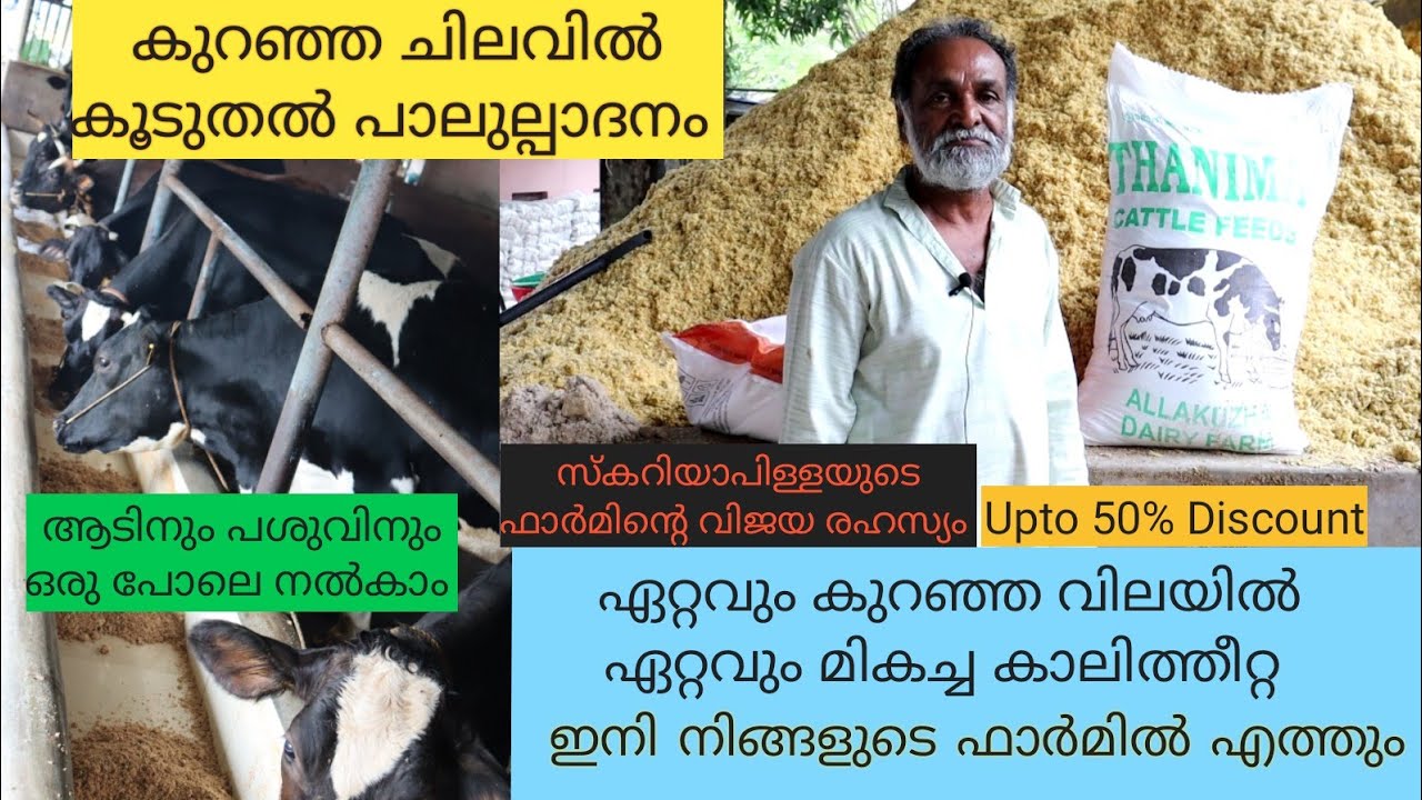 കാലി തീറ്റ ഇടനിലക്കാരില്ലാതെ നേരിട്ട് വാങ്ങാം|45kg 300രൂപ മാത്രം|Diary Farming|Goat  farming