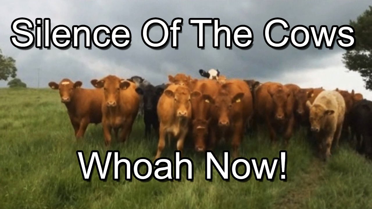 Equinox 24: Silence of the Cows (Original Edit)