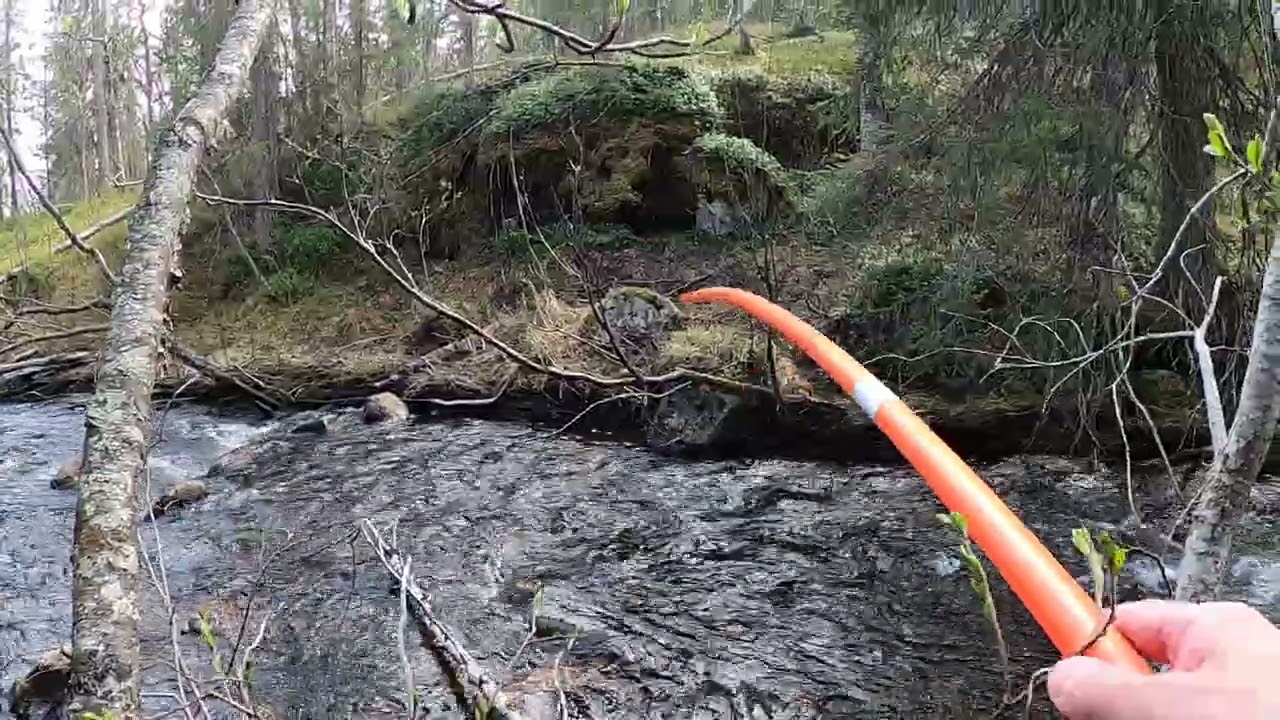 Guldet gömmer sig bakom stenar i bäckar !